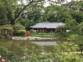 浄瑠璃寺2