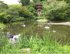 浄瑠璃寺3